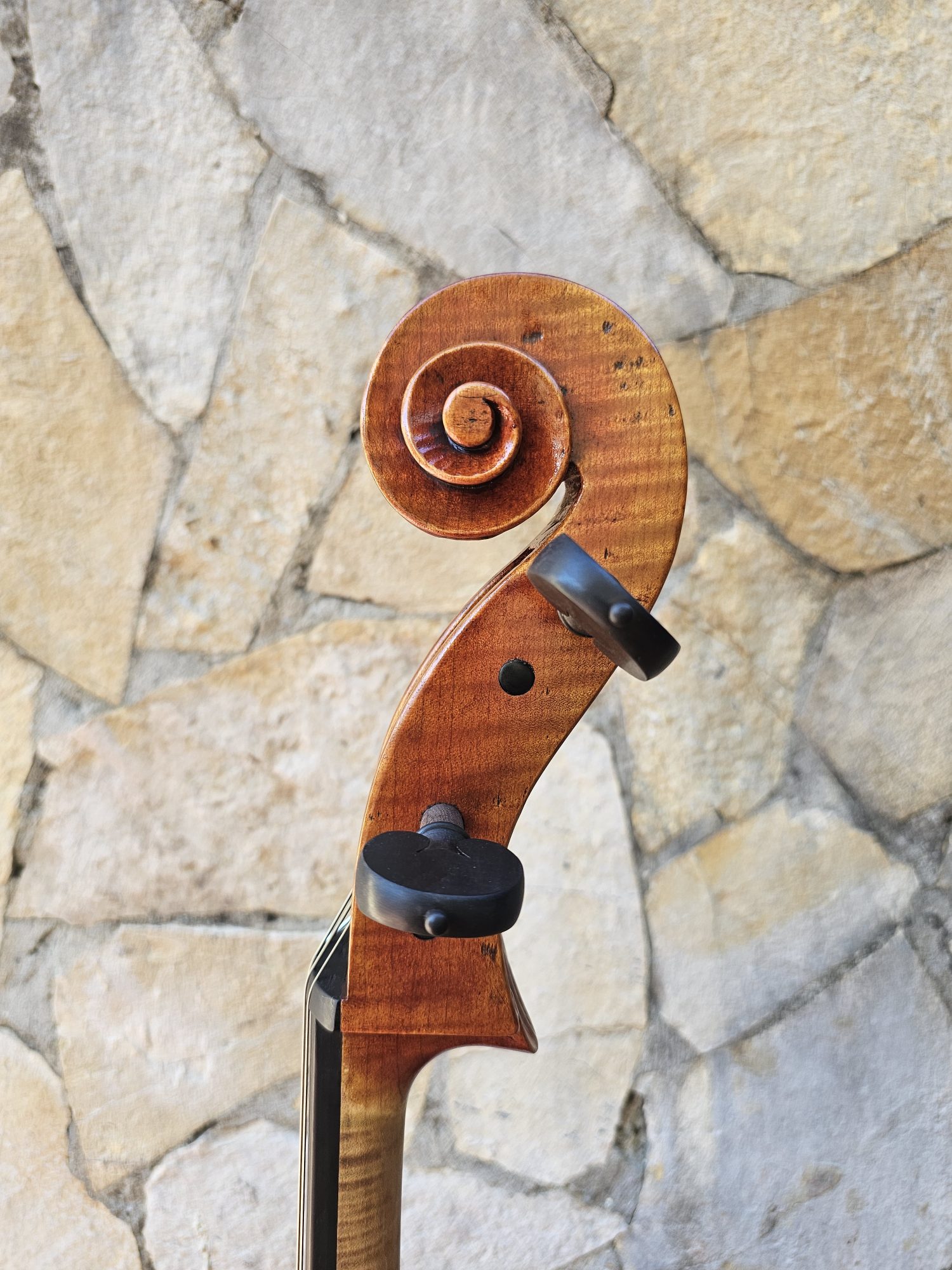 Cello ERLI GURRA