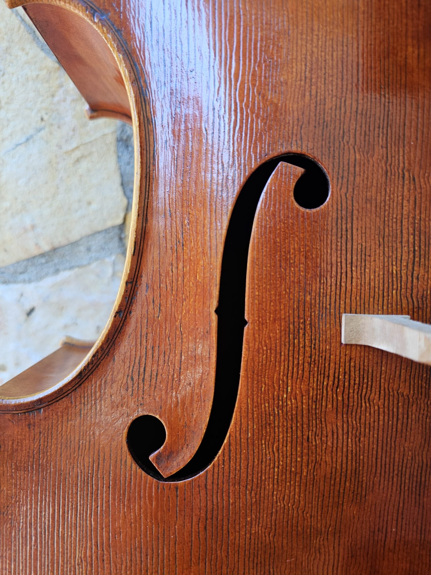 Cello ERLI GURRA