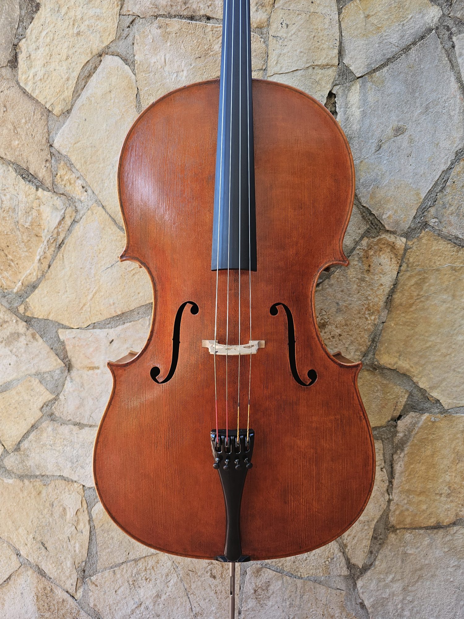 Cello ERLI GURRA