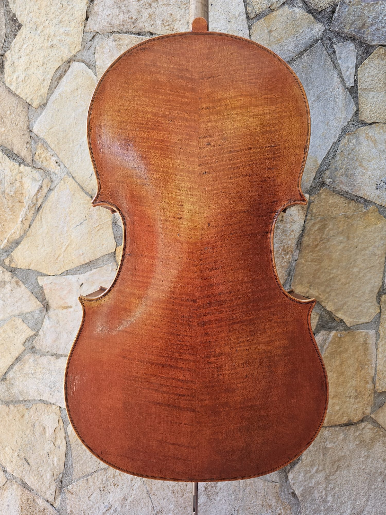 Cello ERLI GURRA