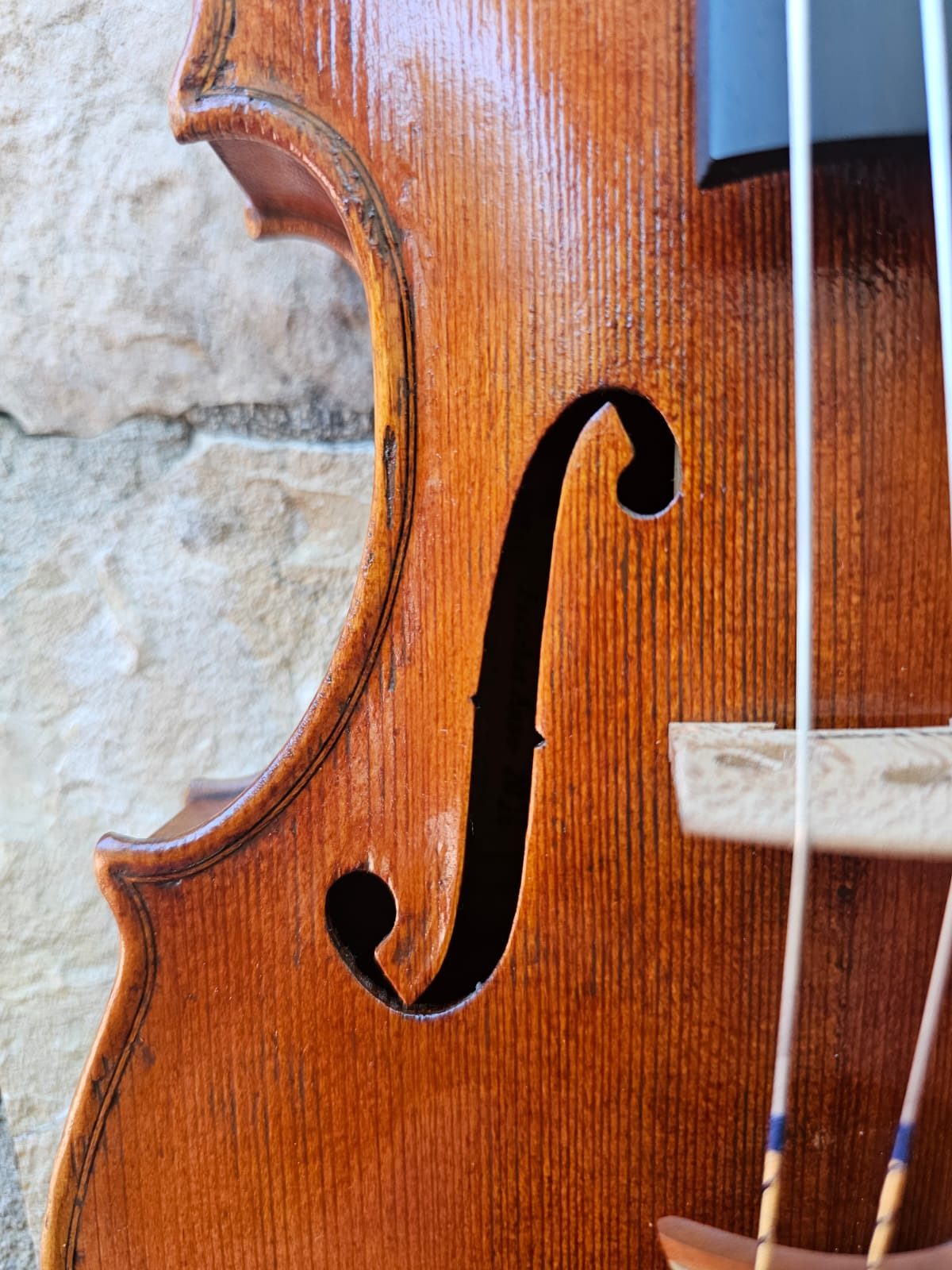 Violin Erli Gurra