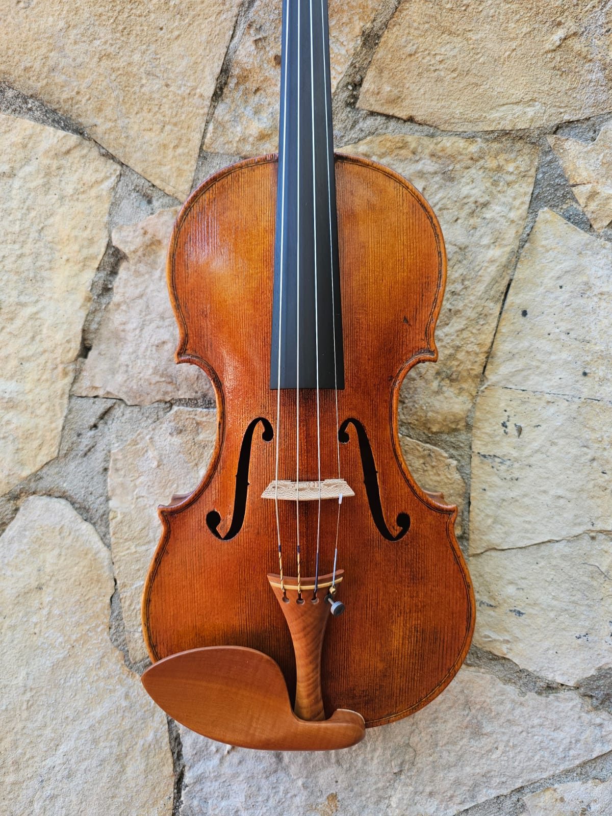 Violin Erli Gurra
