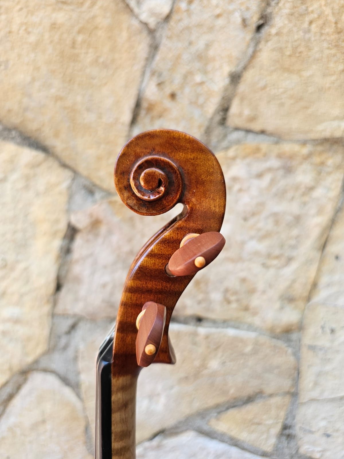 Violin Erli Gurra