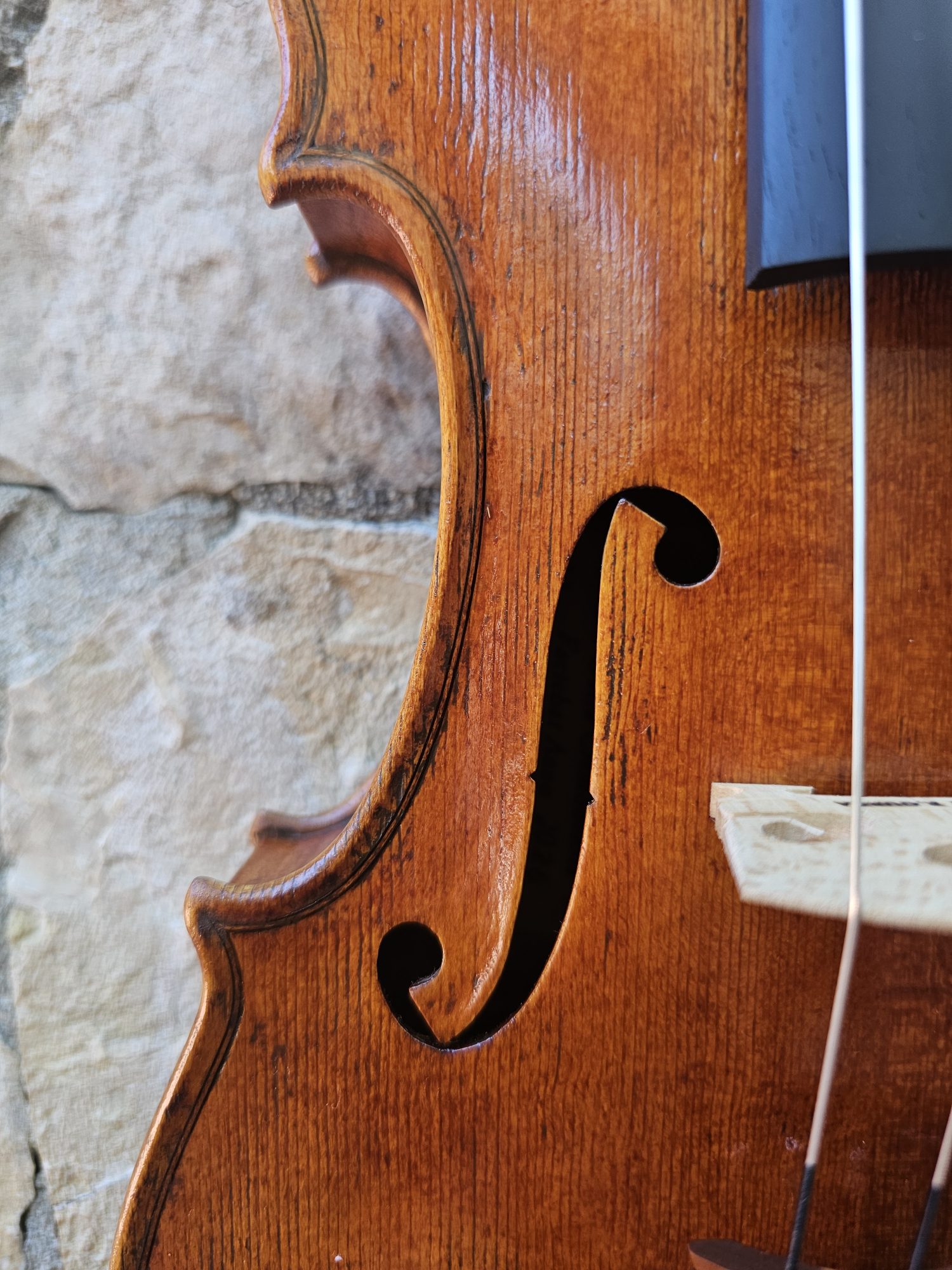 Erli Gurra Violin