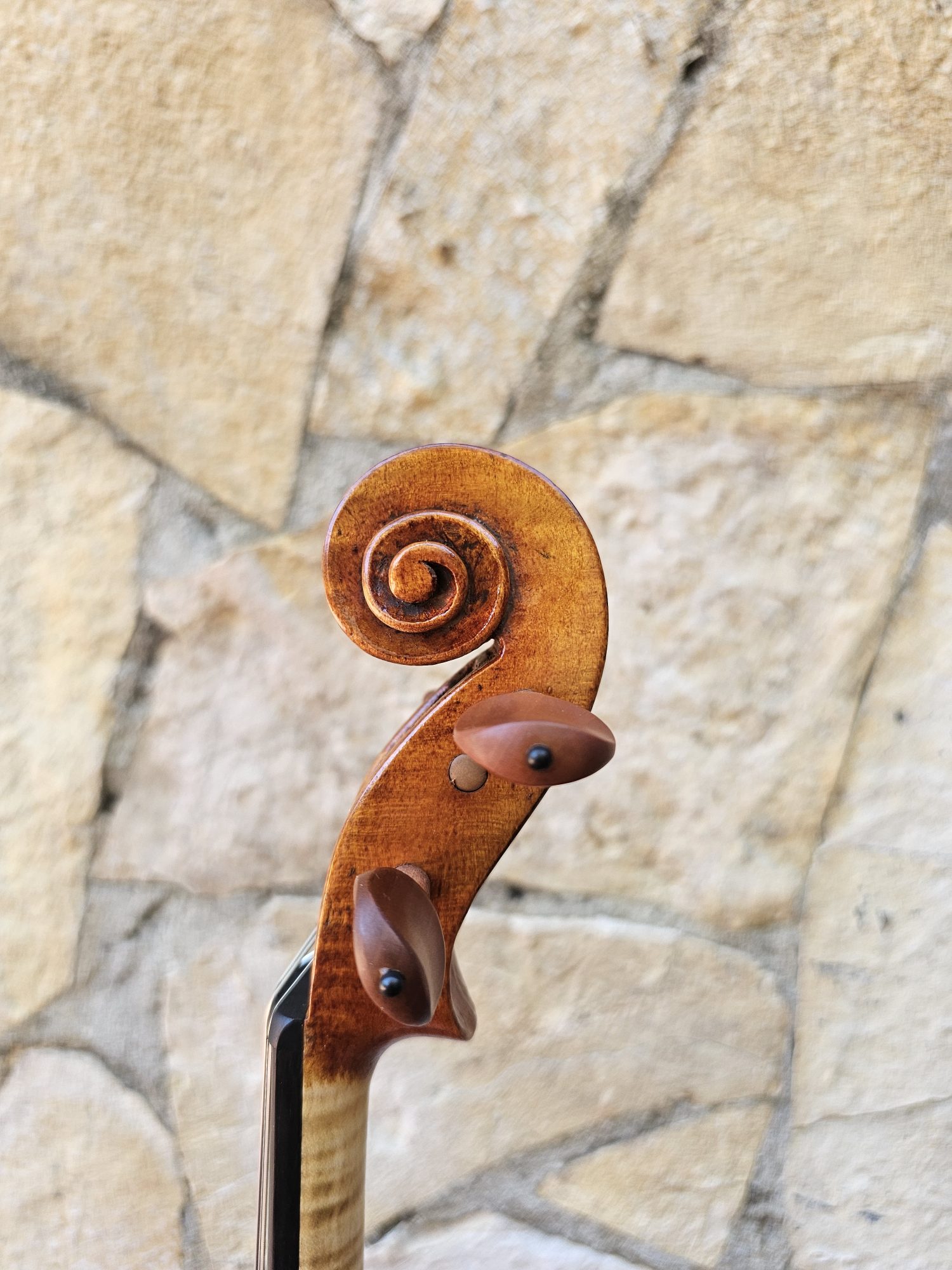 Erli Gurra Violin