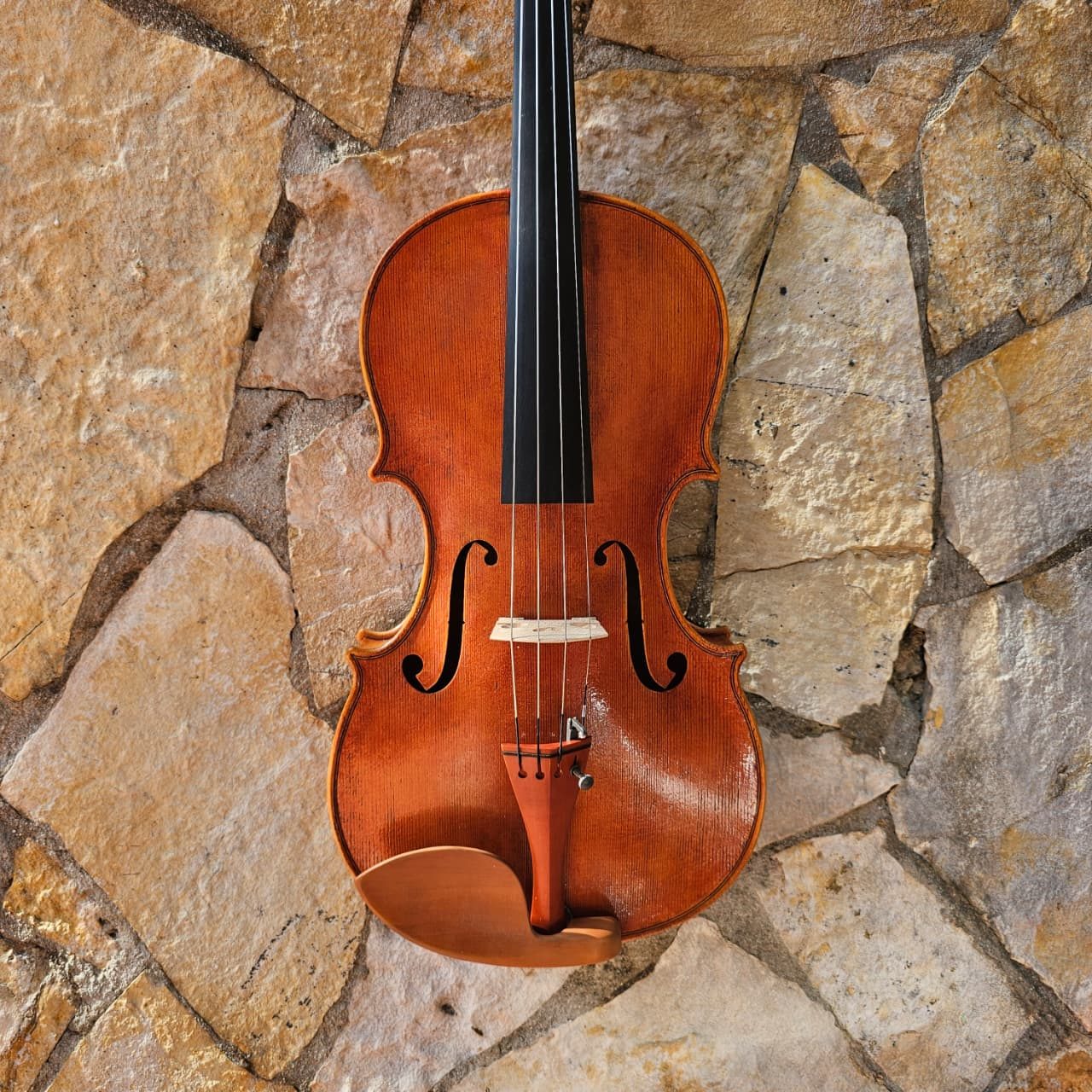 Viola ERLI GURRA