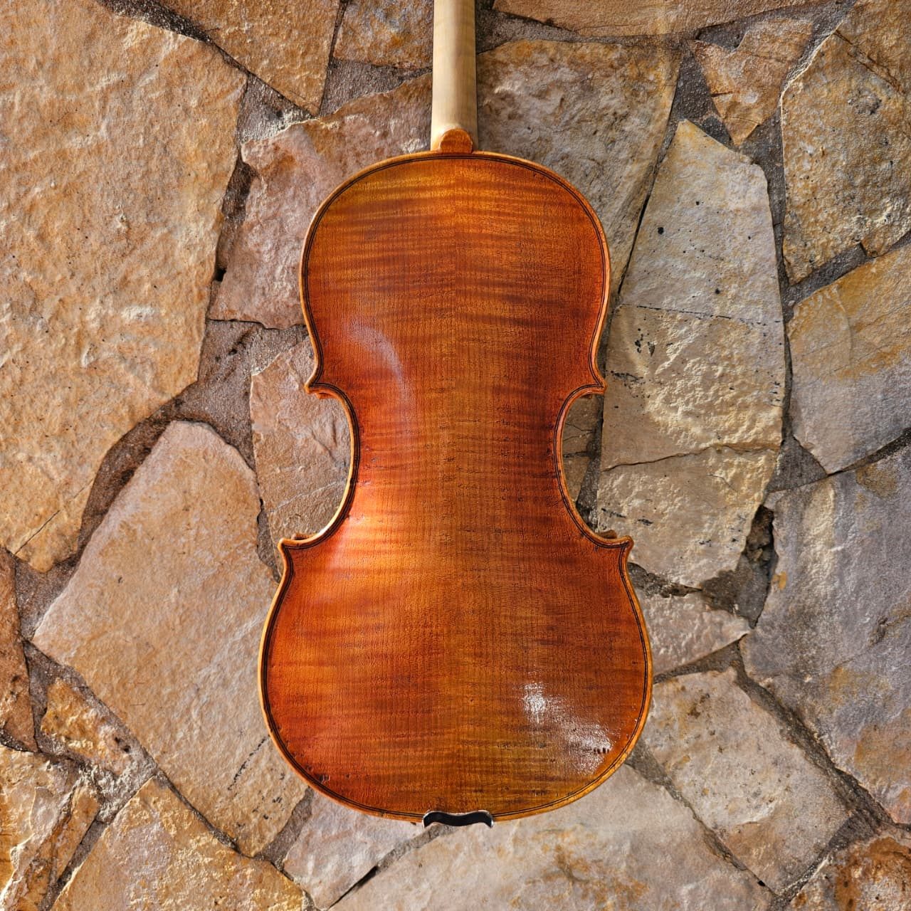 Viola ERLI GURRA