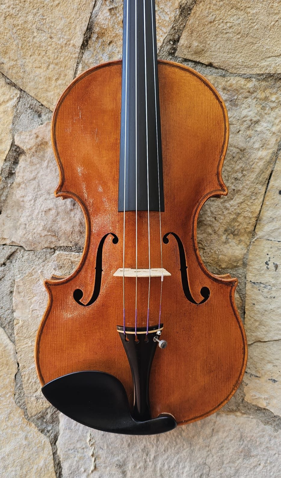 Violin Erli Gurra