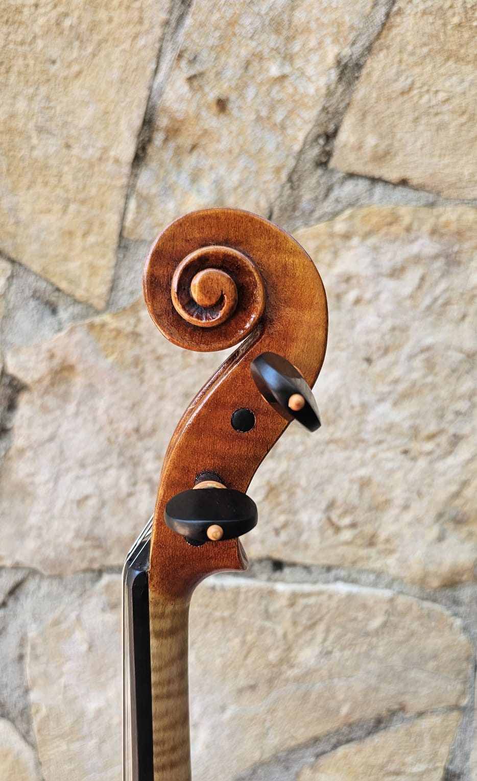 Violin Erli Gurra