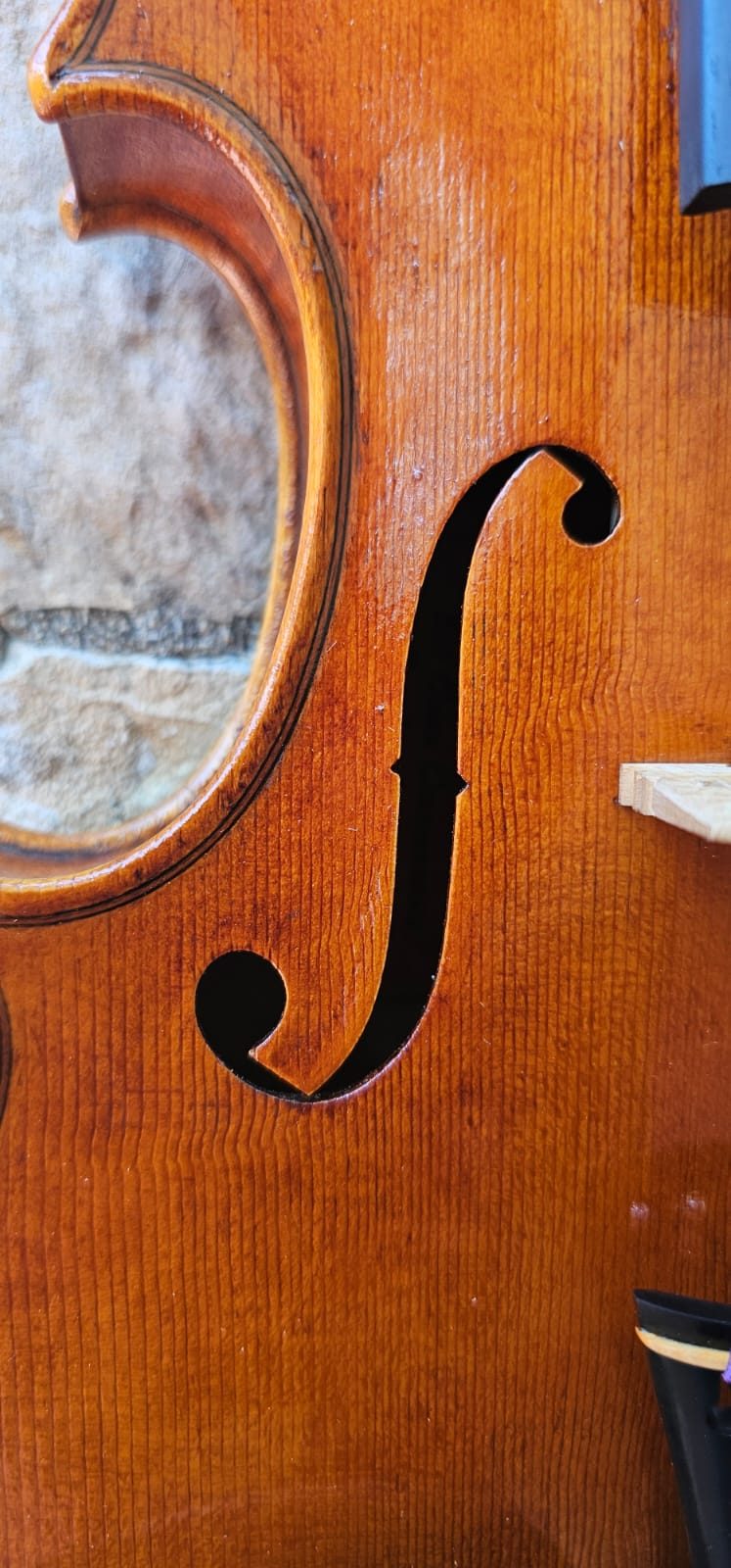 Violin Erli Gurra
